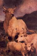 Sir Edwin Landseer Wild Cattle at Chillingham Spain oil painting artist